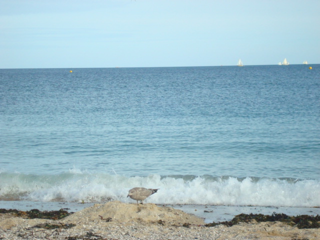 Falmouth,  Cornwall